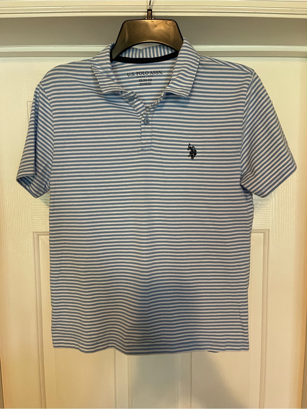 U.S. Polo Assn. Blue & White Striped Men's Polo